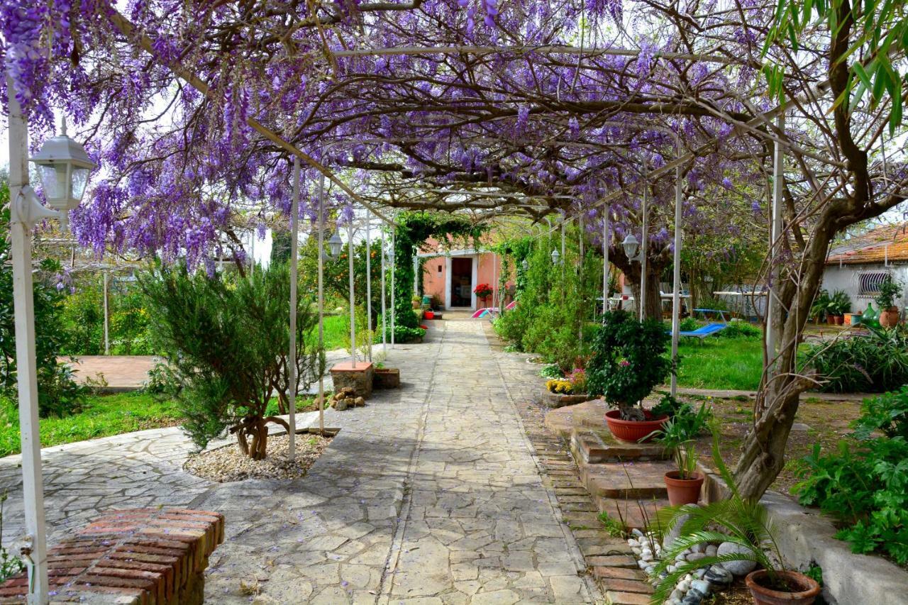 Casale Del Gelso Villa Genzano di Roma Buitenkant foto